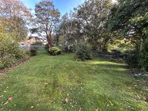 Photo 46- click for photo gallery